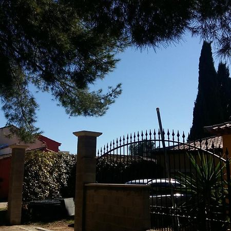 Chambres De La Terre Blanche Sanary-sur-Mer Pokoj fotografie