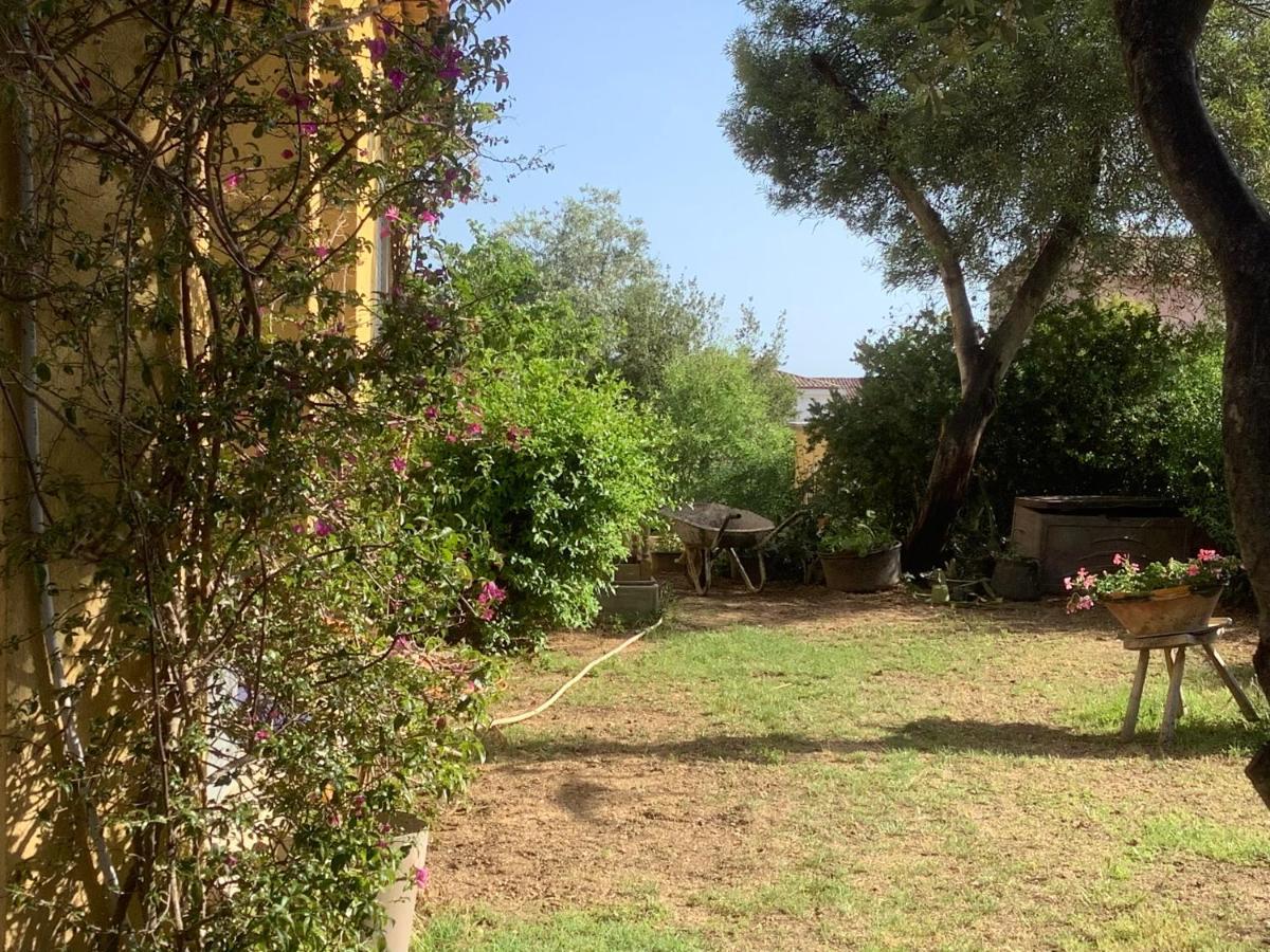 Chambres De La Terre Blanche Sanary-sur-Mer Exteriér fotografie