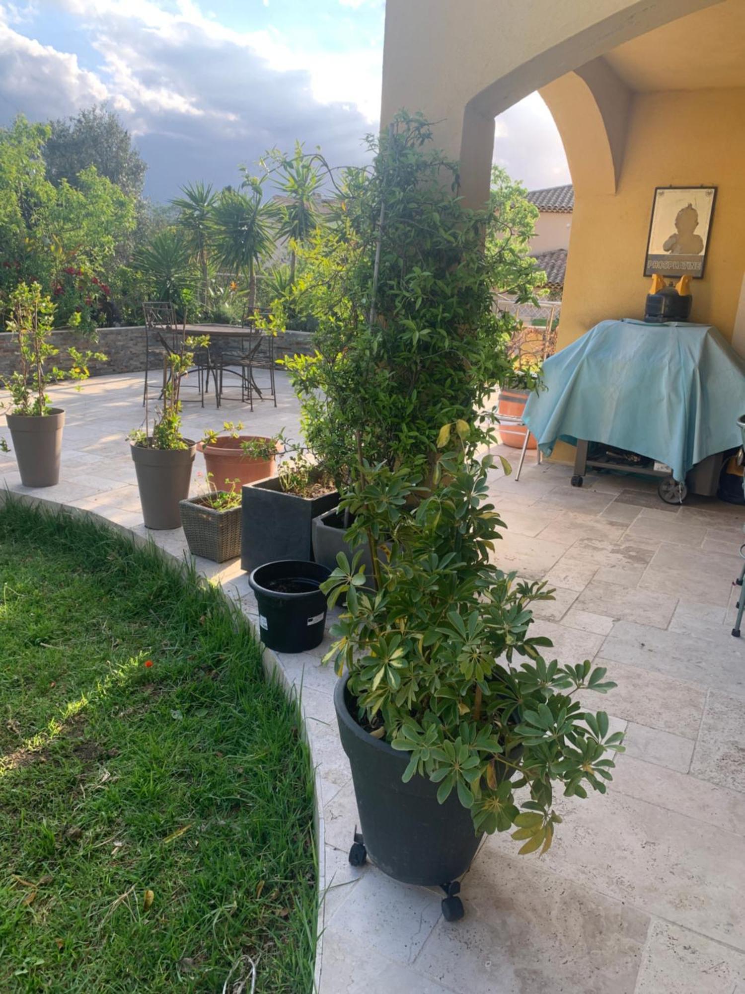 Chambres De La Terre Blanche Sanary-sur-Mer Exteriér fotografie